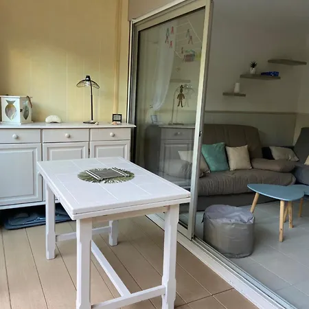 T2 Avec Terrasse 50m De La Plage Apartment *